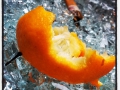 Så nära vinter man kan komma ett kastat clementinskal......