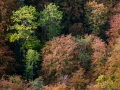 2019-10-04-1201__DSC8654