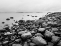 Naturreservatet Näsbokrok en våt januaridag