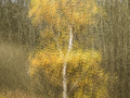 konstochkultur-01