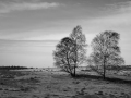 konstochkultur-09