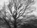 konstochkultur-11