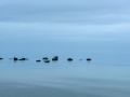 Shoreline-To-Horizon-32-av-38