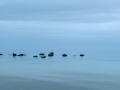 Shoreline-To-Horizon-32-av-38