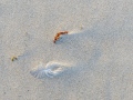 Shoreline-To-Horizon-34-av-38